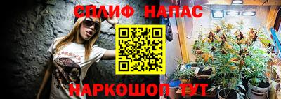 ECSTASY Камышлов