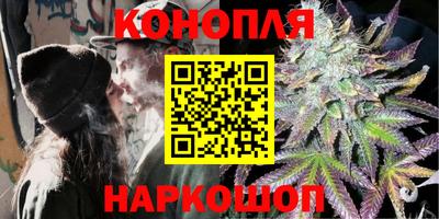 крисы Канаш