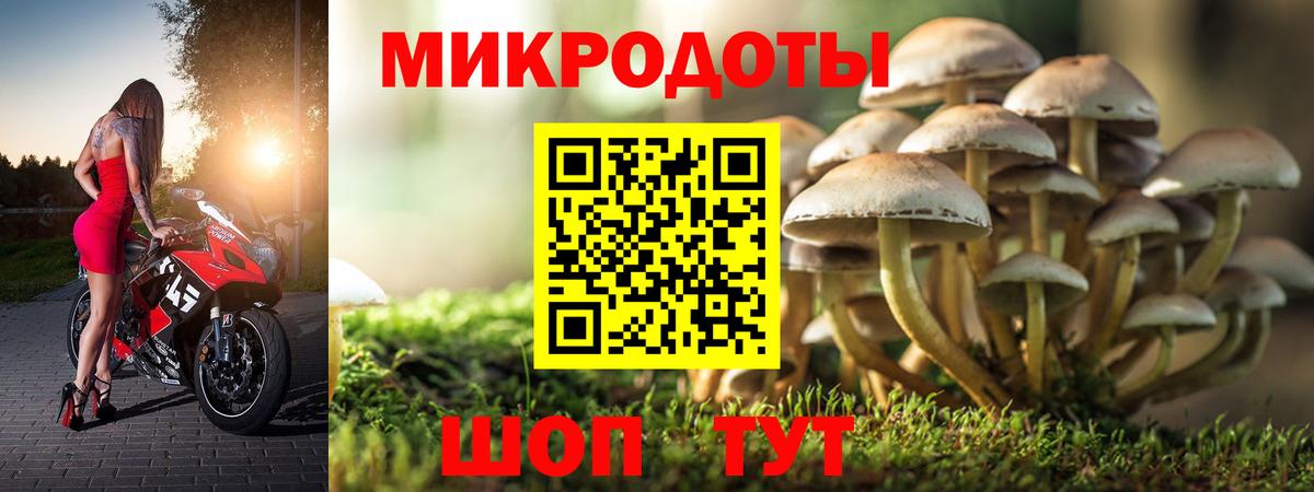 Галлюциногенные грибы Psilocybine cubensis  Вход с VPN  Лениногорск 